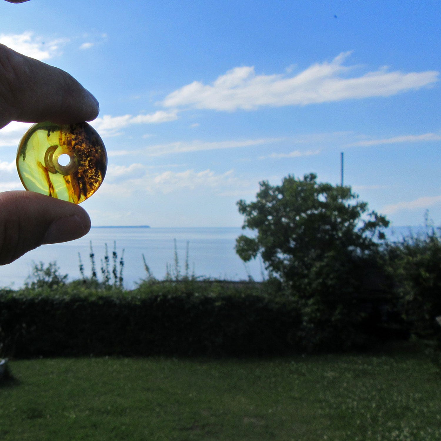 Polierter Bernsteindonut, einzigartig und strahlend