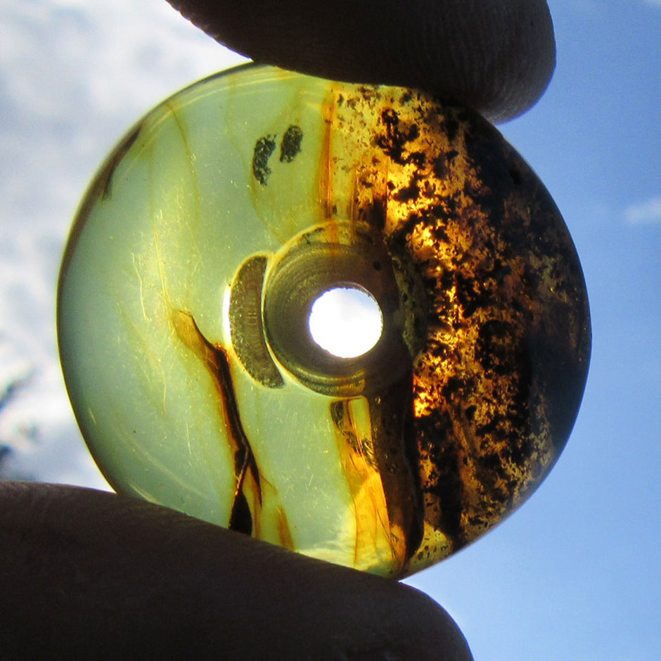 Polierter Bernsteindonut, einzigartig und strahlend