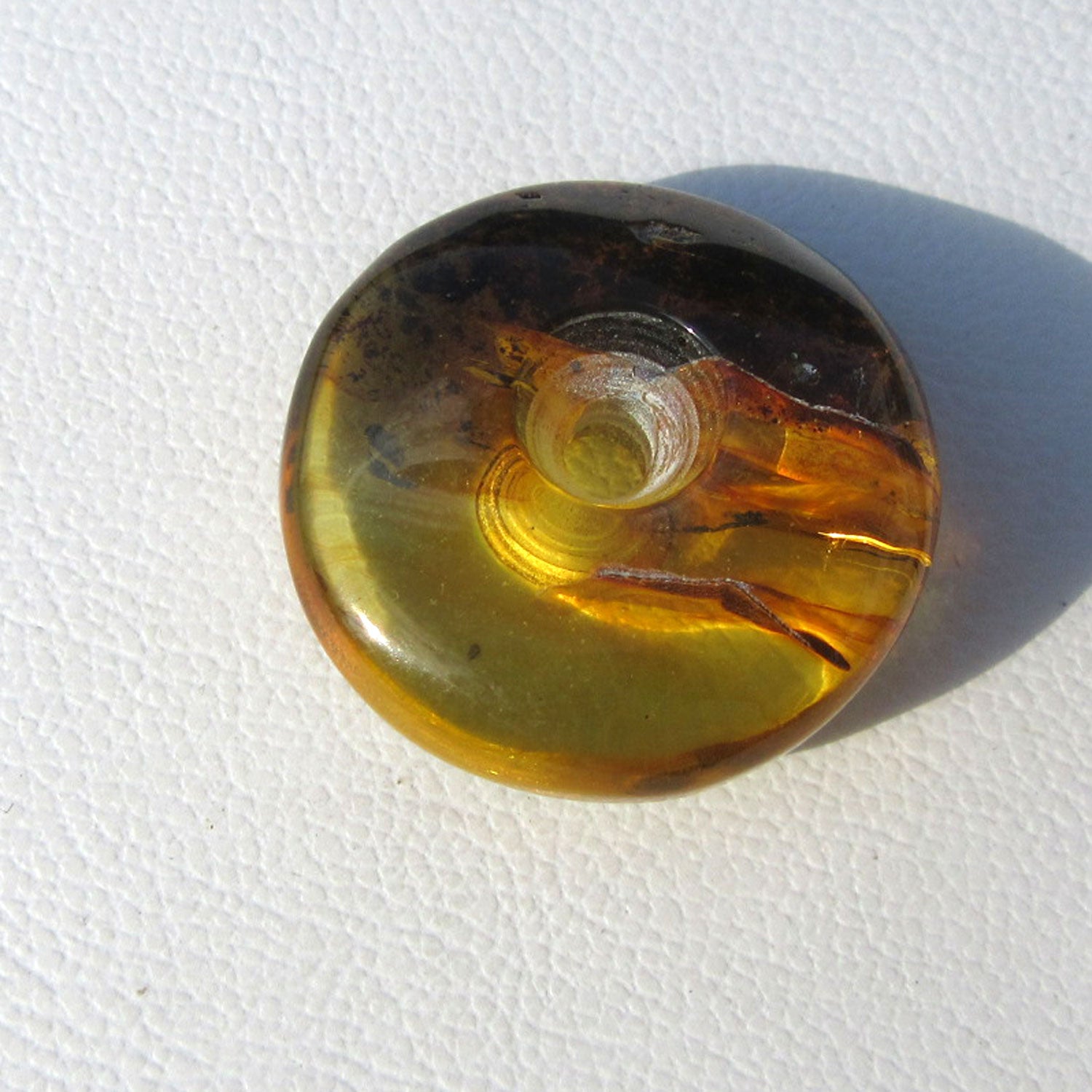 Polierter Bernsteindonut, einzigartig und strahlend