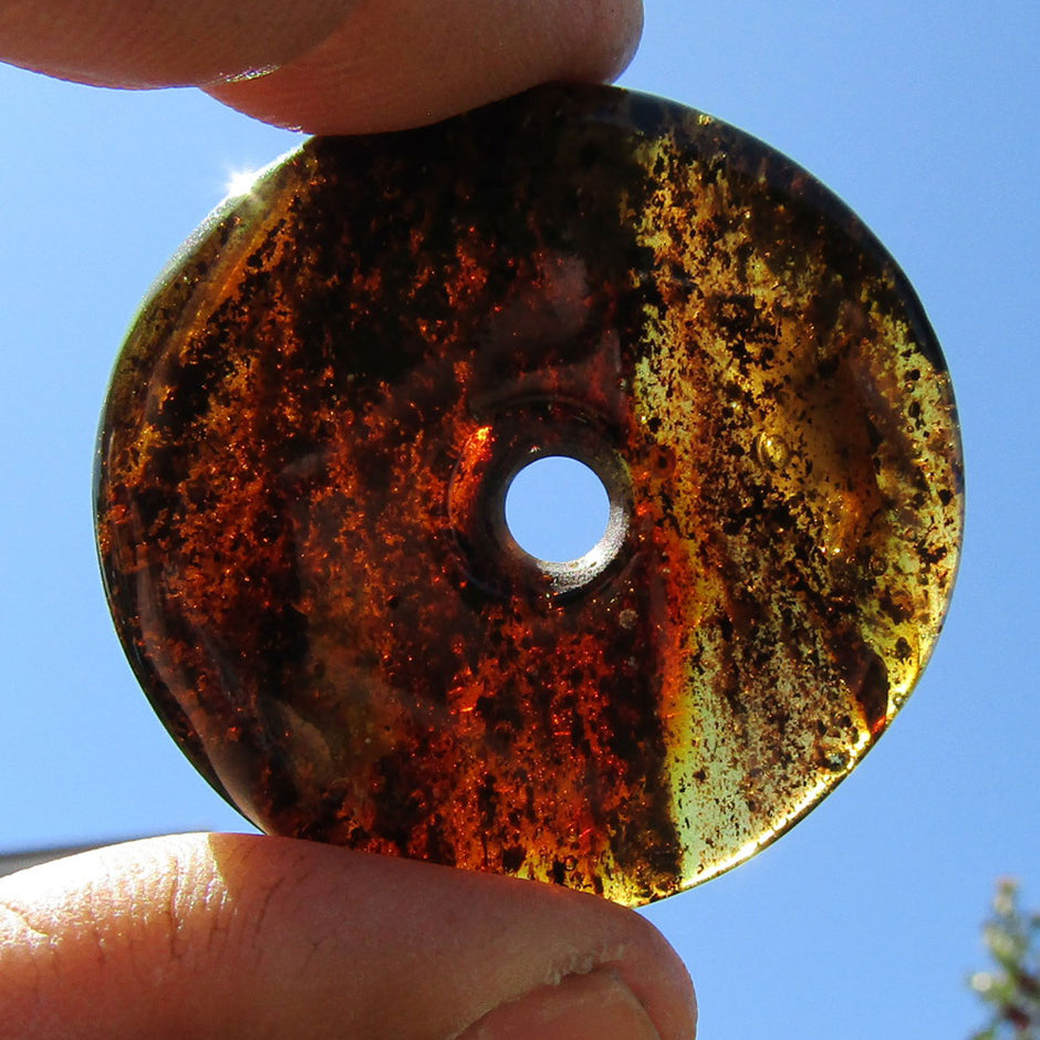 Dunkler, polierter Bernsteindonut – Einzelstück von Rügen