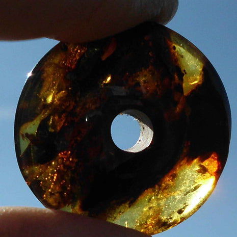 Polierter Bernsteindonut mit natürlichen Einschlüssen