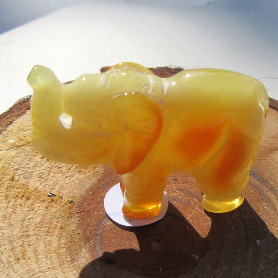 Bernstein-Elefant in butterscotch, ein Unikat von Rügen