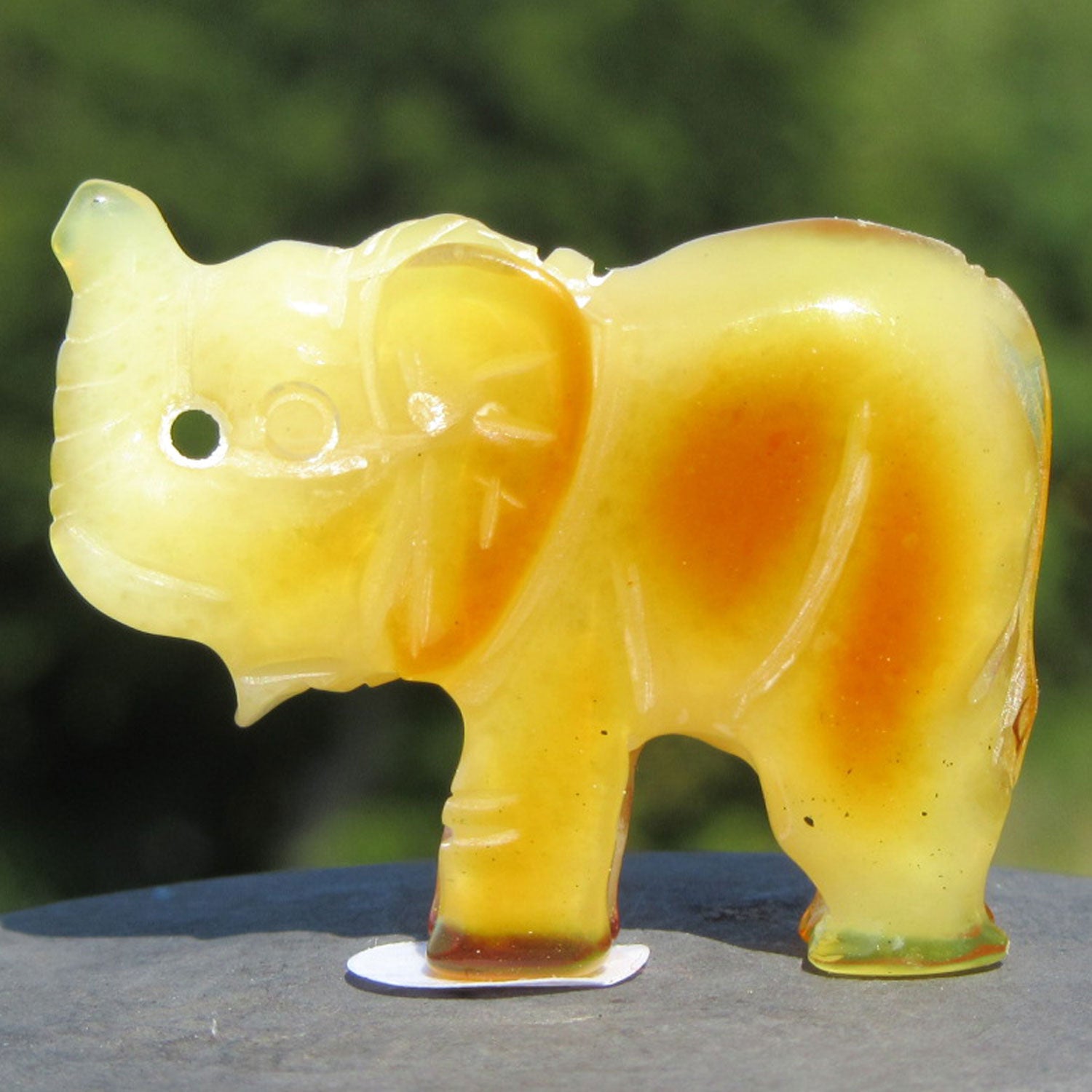Bernstein-Elefant in butterscotch, ein Unikat von Rügen