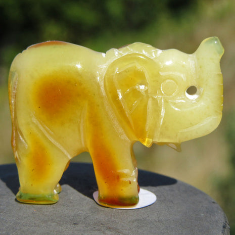 Bernstein-Elefant in butterscotch, ein Unikat von Rügen