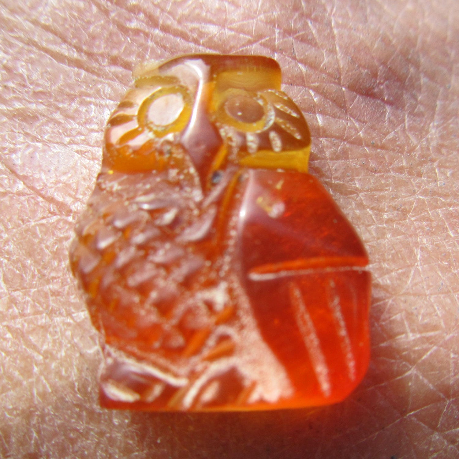 Eule aus Bernstein – Einzigartiger Uhu von Rügen