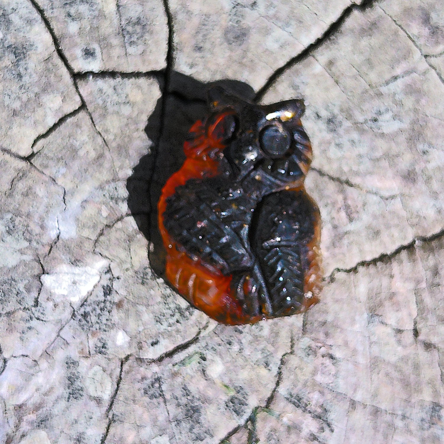 Kleine Eule aus Bernstein, handgefertigt, Unikat