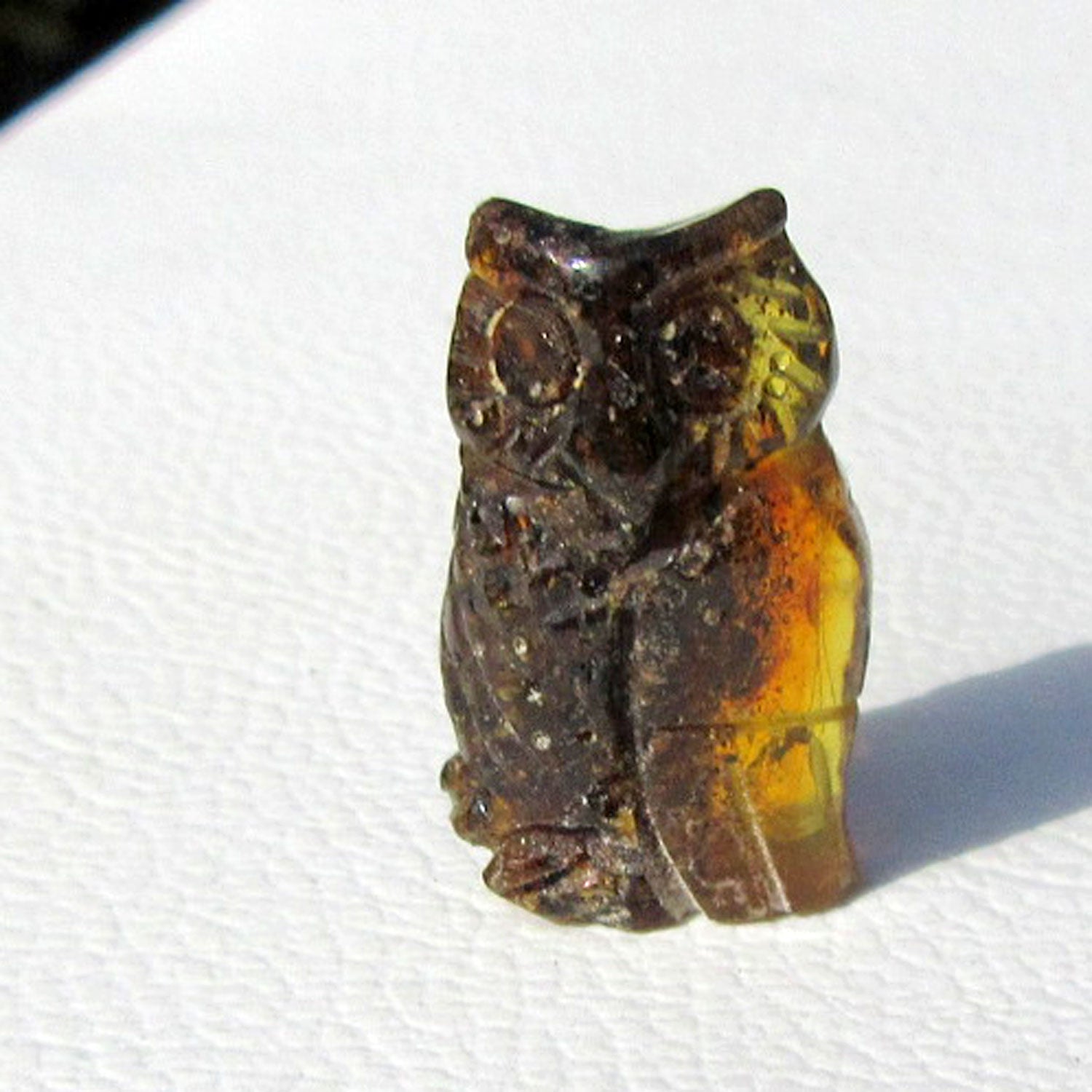 Einzelstück: Dunkle Bernsteineule von der Ostsee-Insel