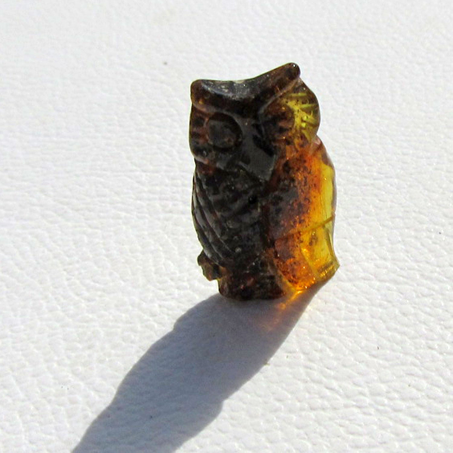 Einzelstück: Dunkle Bernsteineule von der Ostsee-Insel