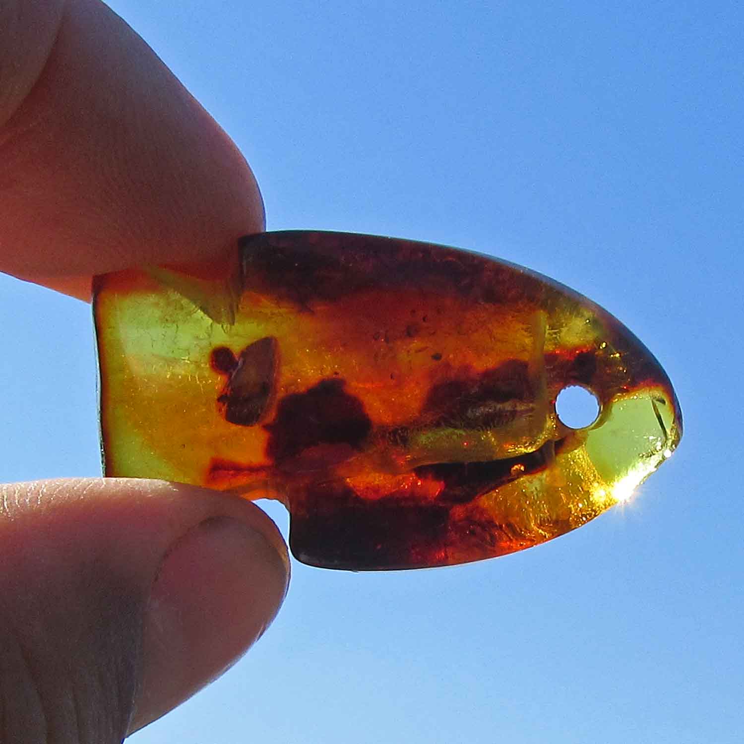 Einzigartiger Bernsteinfisch in Kognacfarbe mit Einschlüssen