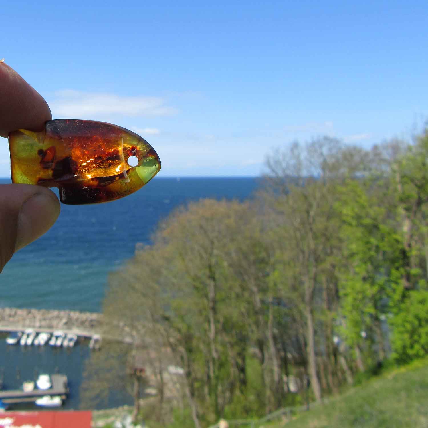 Einzigartiger Bernsteinfisch in Kognacfarbe mit Einschlüssen