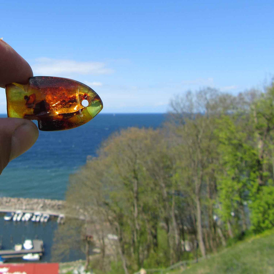 Einzigartiger Bernsteinfisch in Kognacfarbe mit Einschlüssen