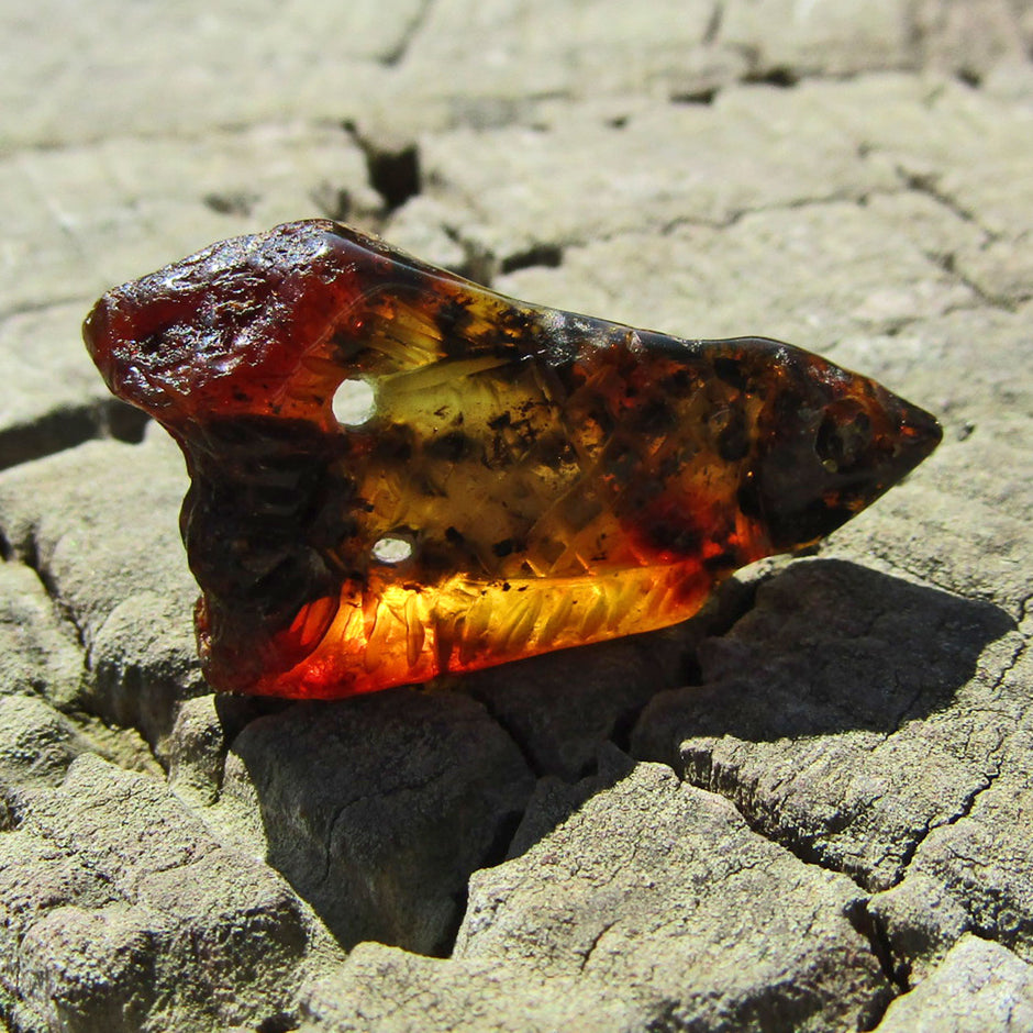 Fisch aus dunklem Bernstein – elegantes Unikat von Rügen