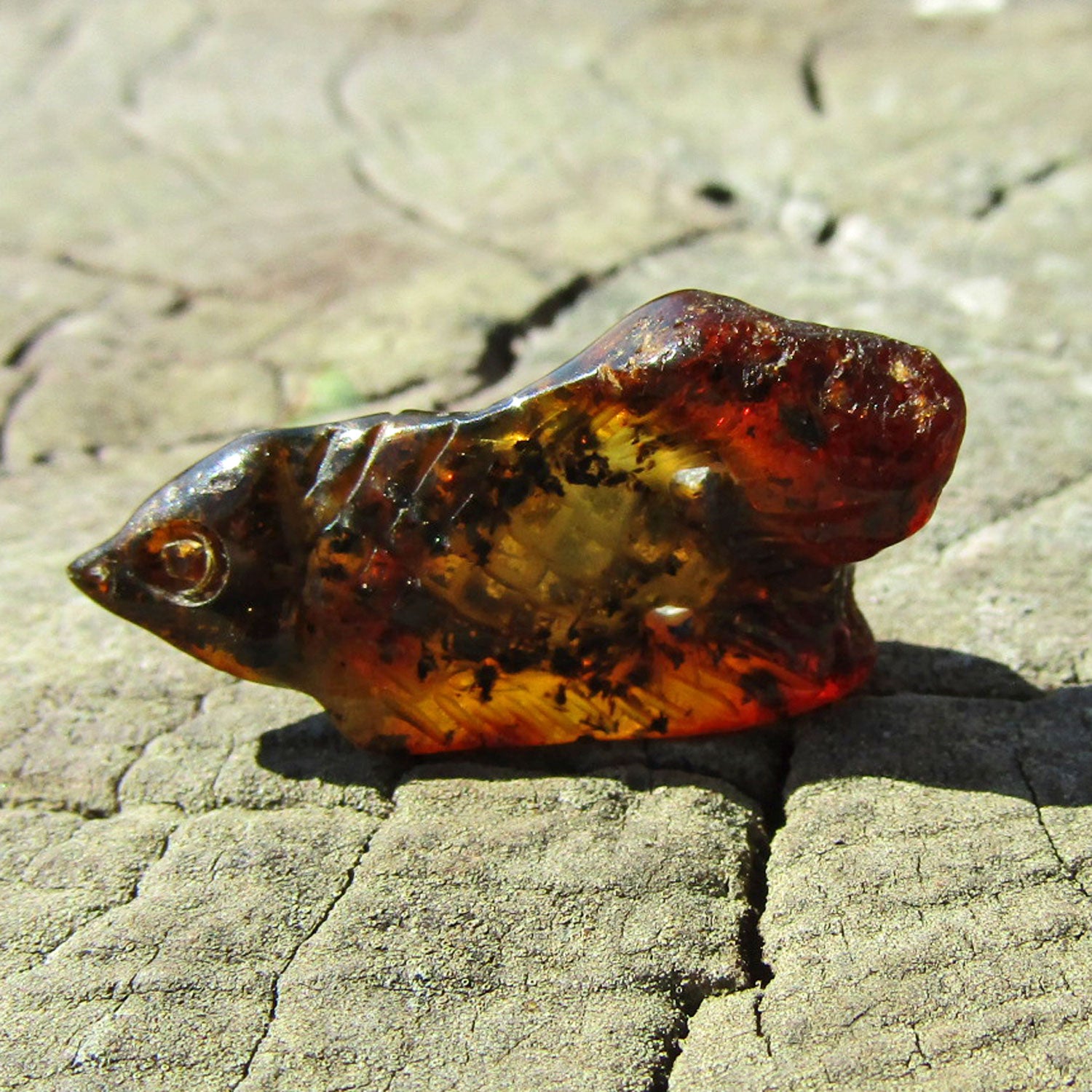 Fisch aus dunklem Bernstein – elegantes Unikat von Rügen