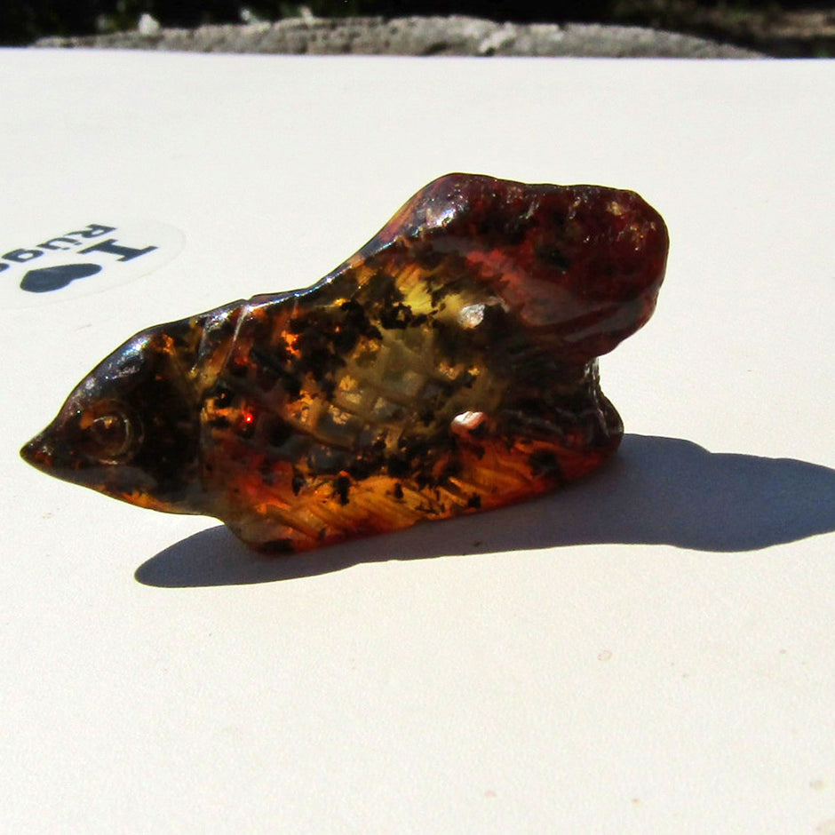 Fisch aus dunklem Bernstein – elegantes Unikat von Rügen