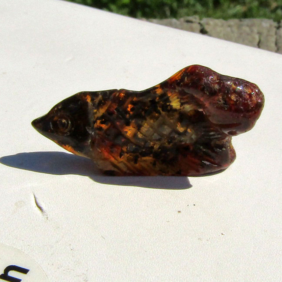 Fisch aus dunklem Bernstein – elegantes Unikat von Rügen