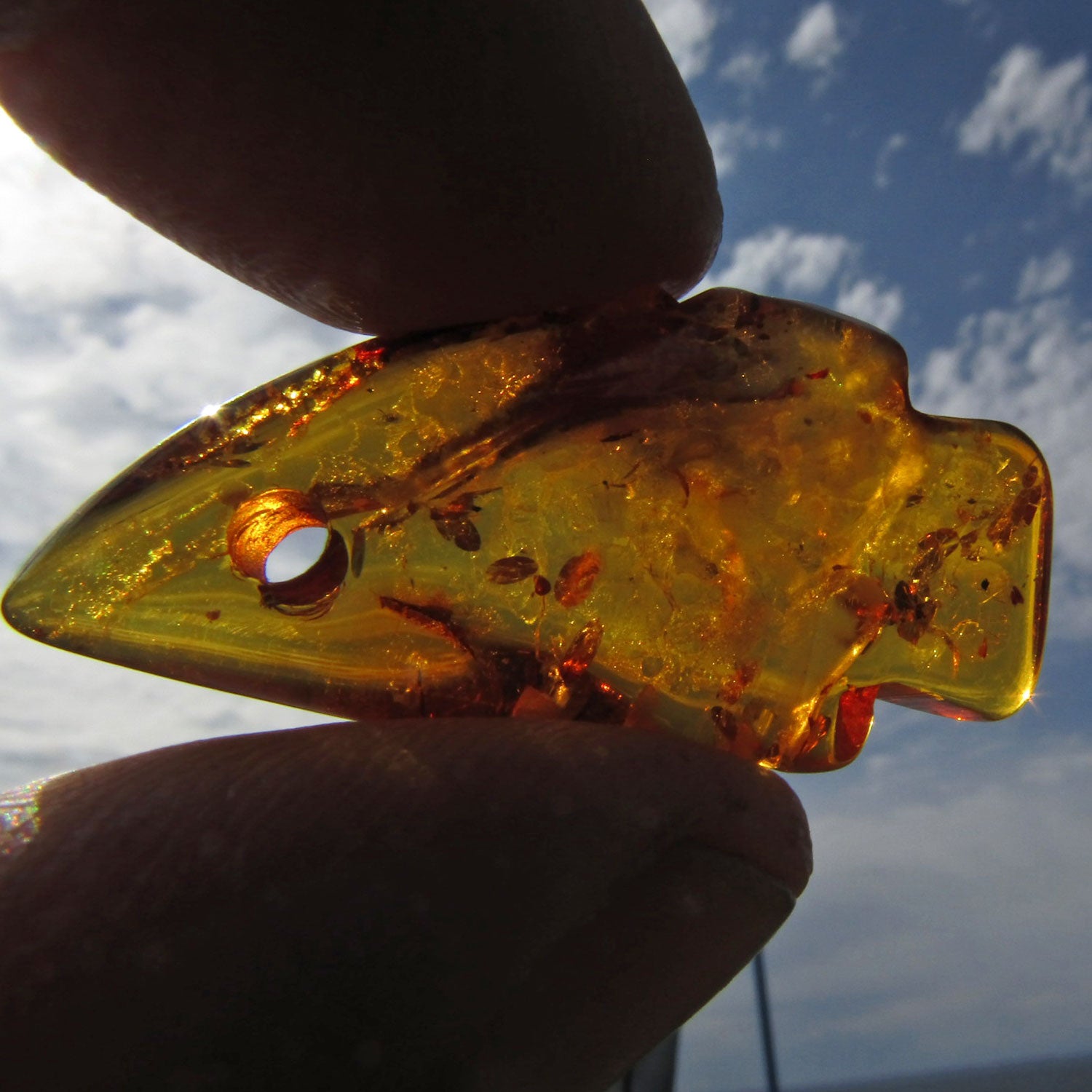 Polierter Bernsteinfisch mit Einschlüssen, Unikat