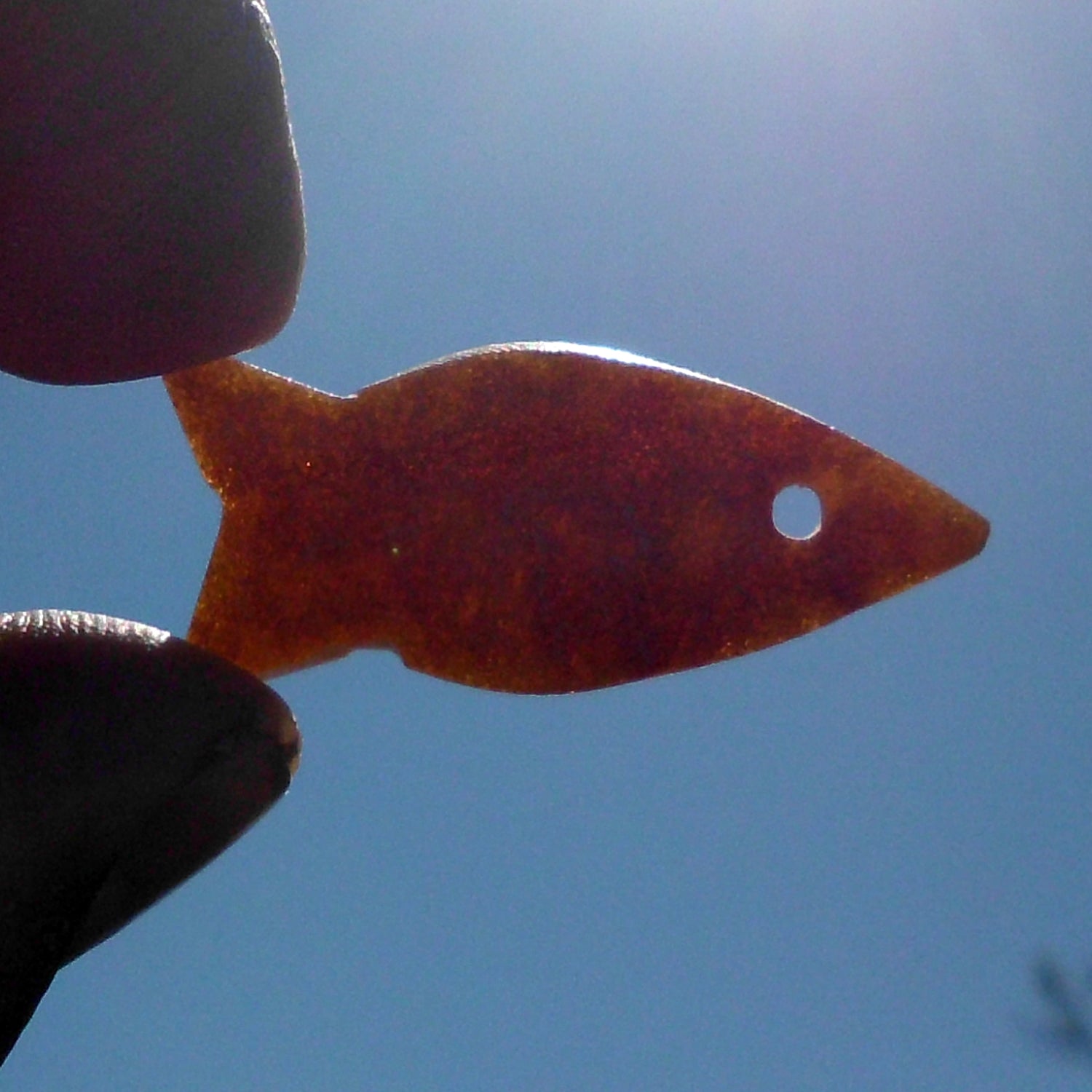 Unpolierter Bernsteinfisch von der Ostsee-Insel Rügen