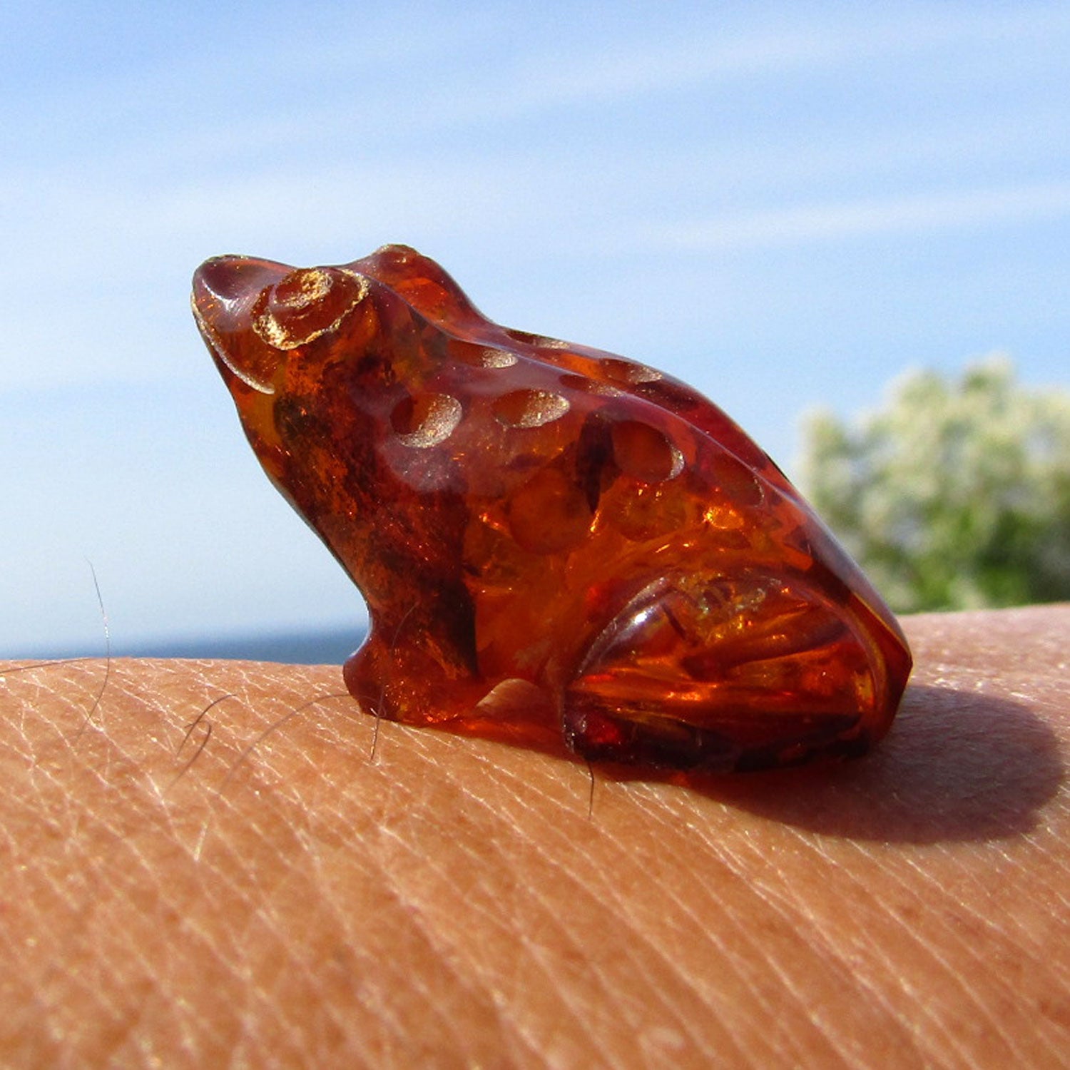 Einzigartiger Frosch aus handgeschliffenem Bernstein