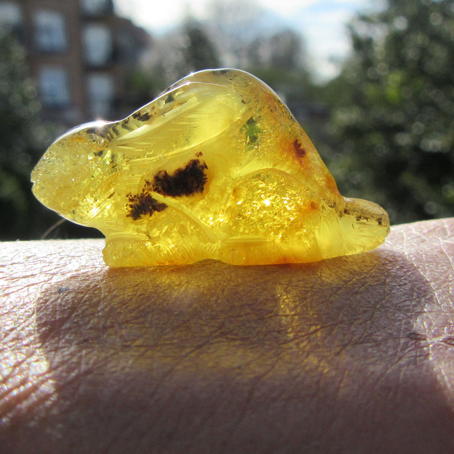 Hase aus transparentem Bernstein, ein Unikat von Rügen