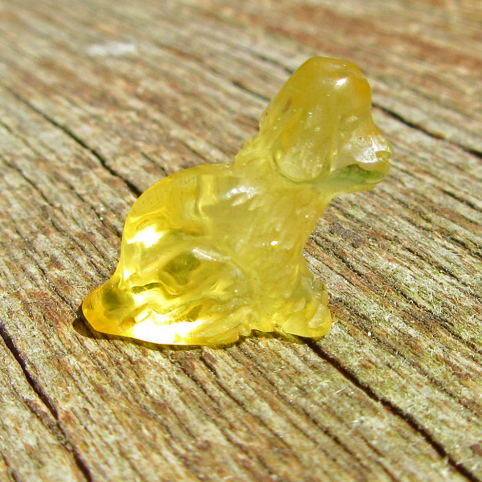 Welpe aus gelblich-transparentem Bernstein, Unikat