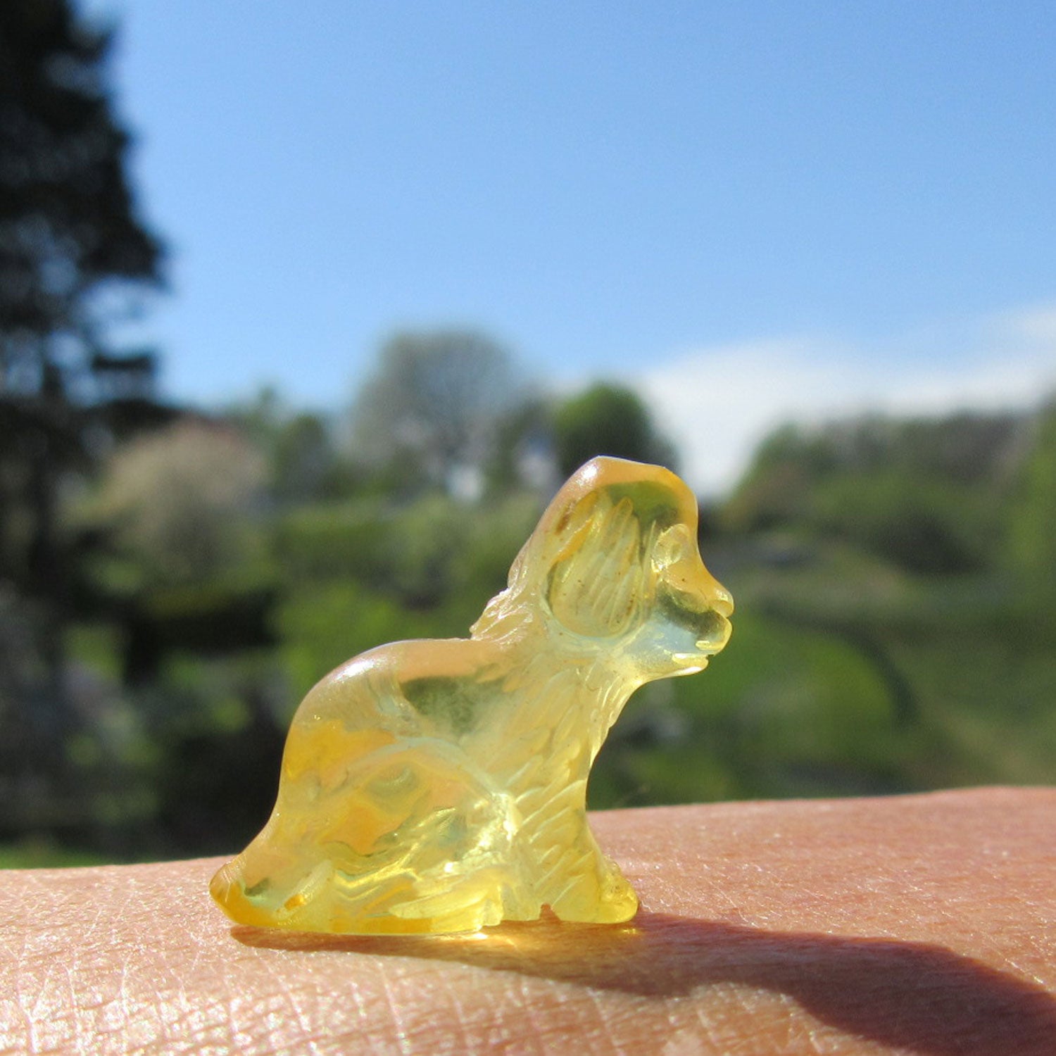 Welpe aus gelblich-transparentem Bernstein, Unikat