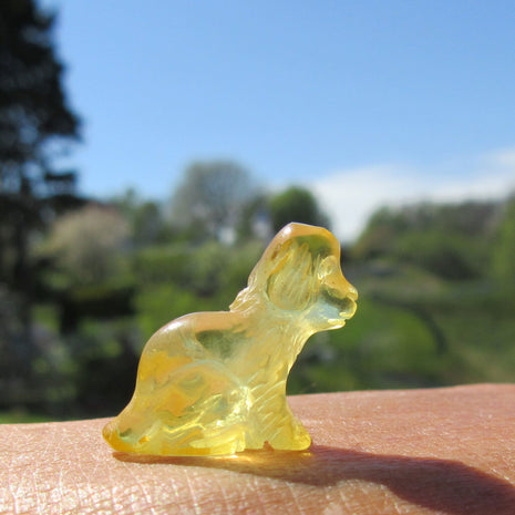 Welpe aus gelblich-transparentem Bernstein, Unikat