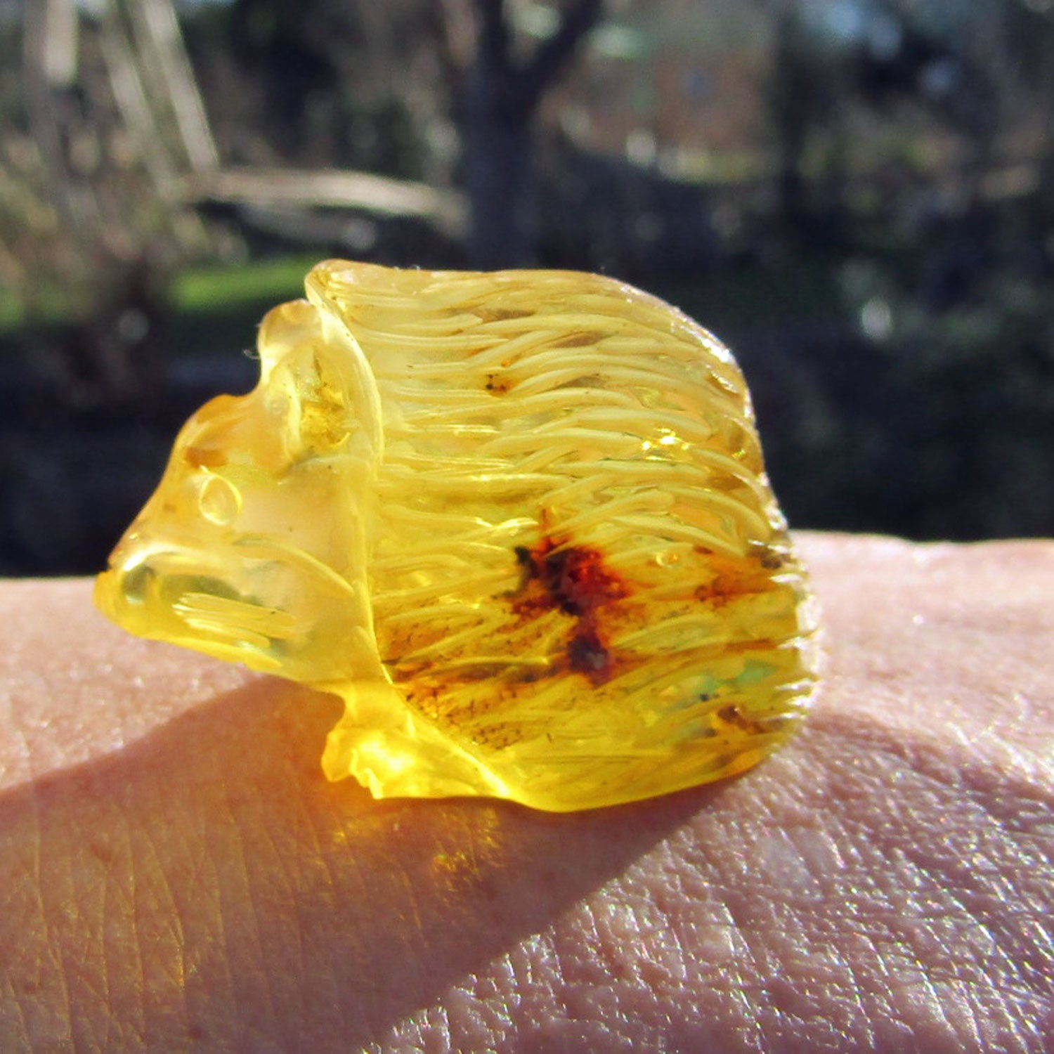 Einzelstück: Igel aus klarem Bernstein von der Ostsee-Insel