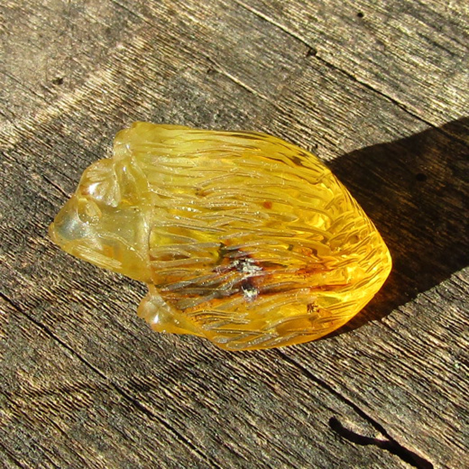 Einzelstück: Igel aus klarem Bernstein von der Ostsee-Insel