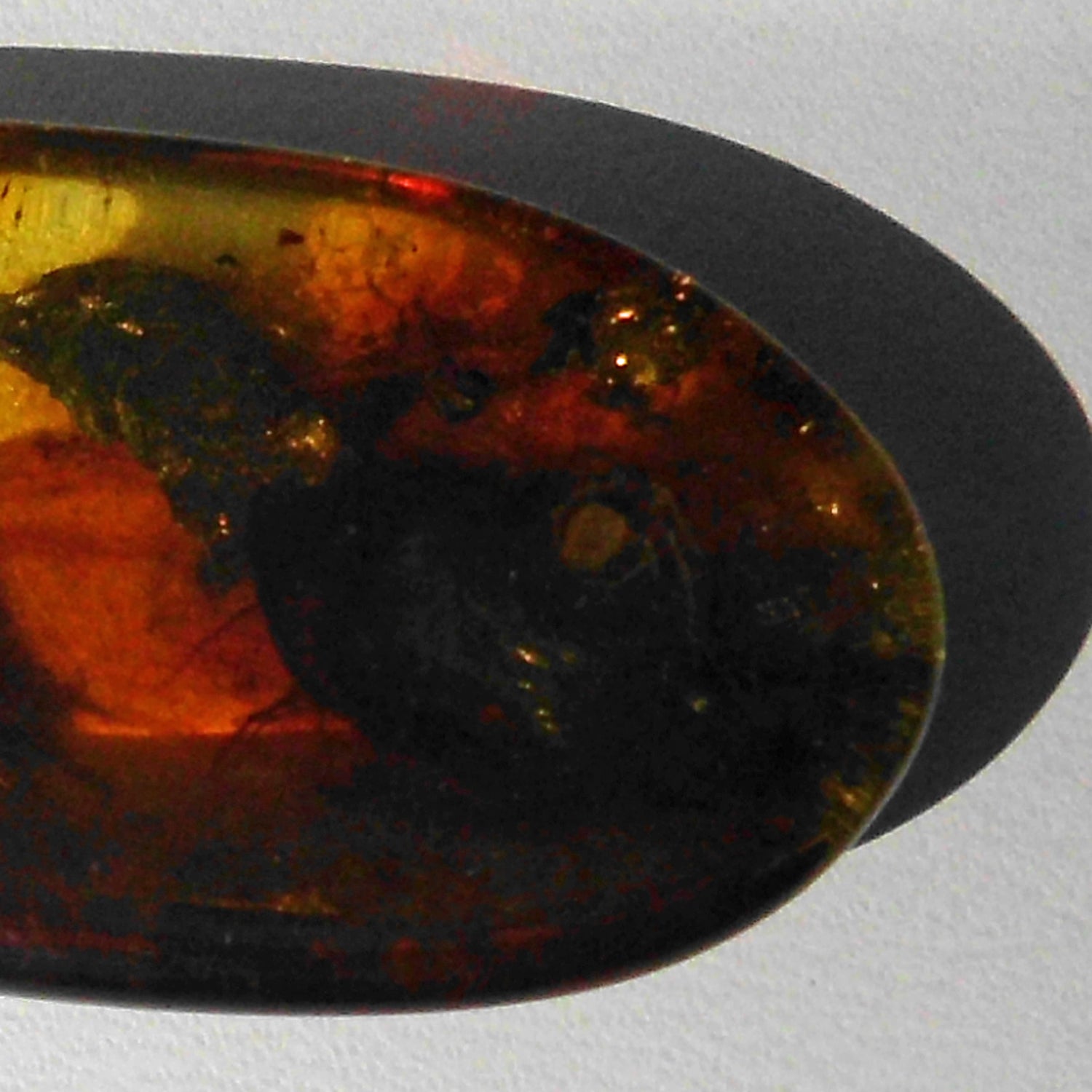 Bernstein mit Inkluse – Einzelstück von Rügen