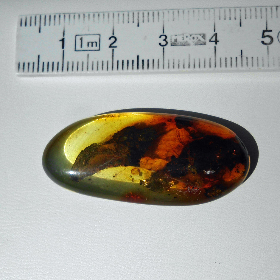 Bernstein mit Inkluse – Einzelstück von Rügen