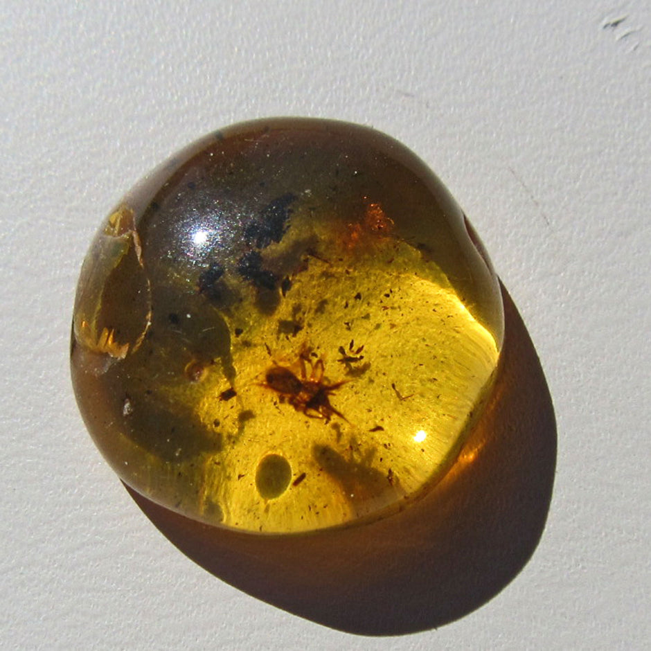 Kleiner Bernstein mit Spinneninkluse von Rügen, Einzelstück