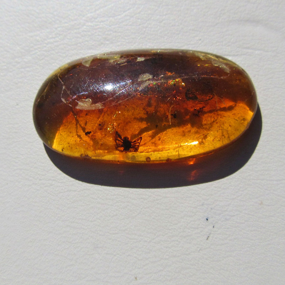 Bernstein mit Spinnen-Inkluse, Einzelstück von Rügen