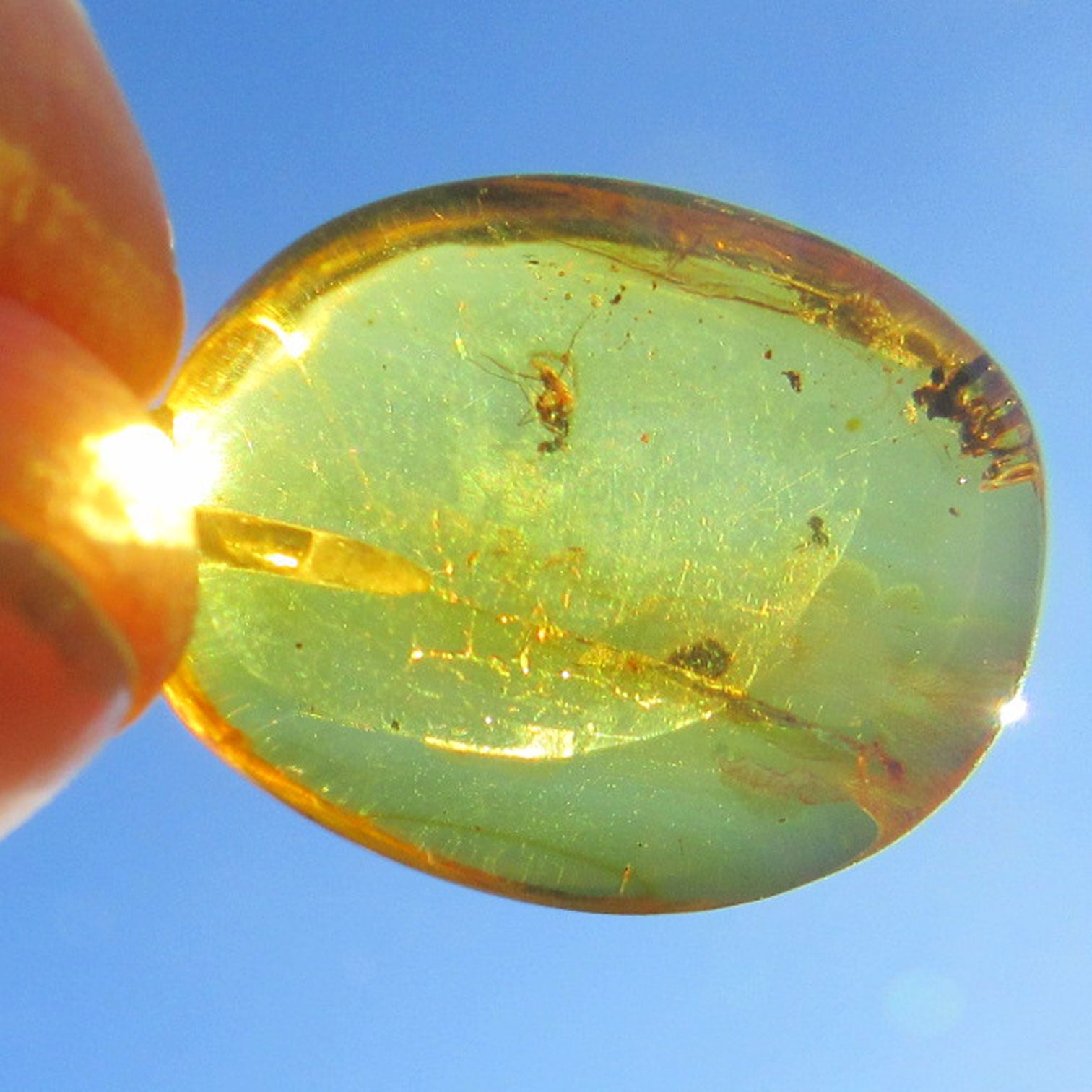 Schöner Bernsteinanhänger mit Inkluse mit Silberöse