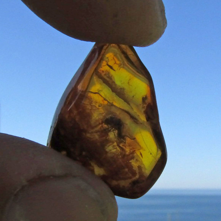 Bernstein mit Inklusen von der Ostsee-Insel Rügen