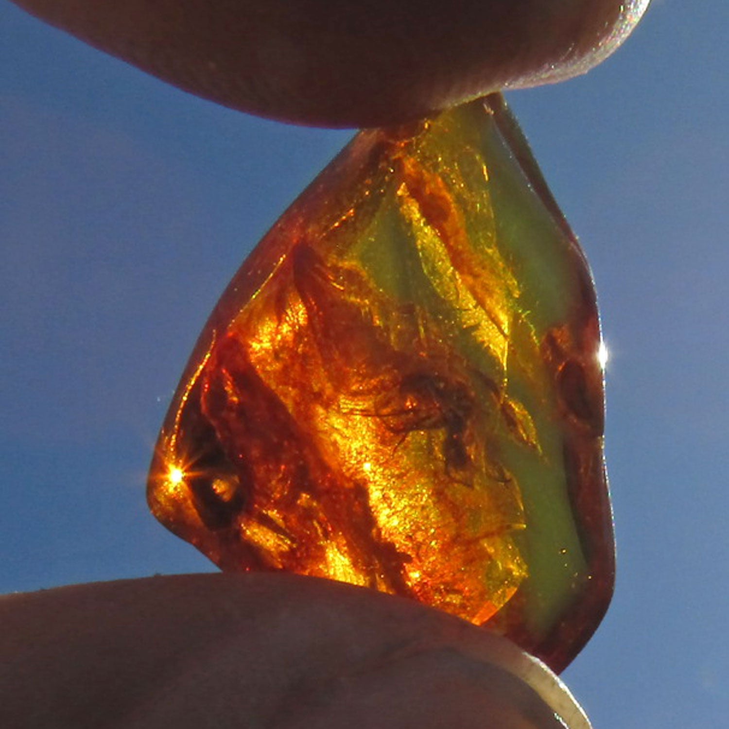 Bernstein mit Inklusen von der Ostsee-Insel Rügen