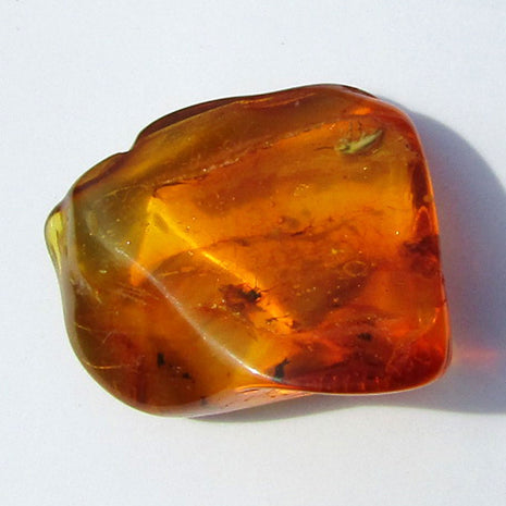 Einzigartiger Bernstein mit Inklusen von der Ostsee-Insel