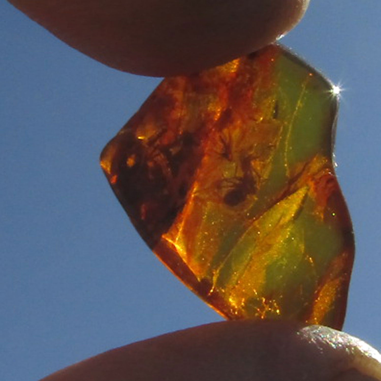 Bernstein mit Inklusen von der Ostsee-Insel Rügen