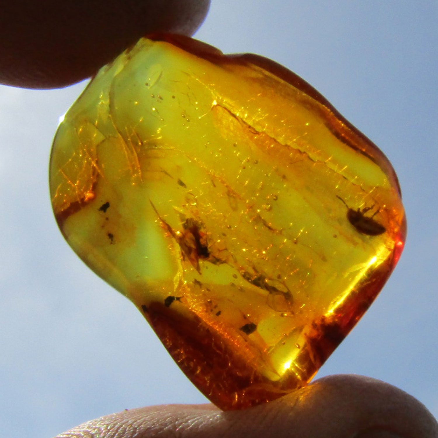 Einzigartiger Bernstein mit Inklusen von der Ostsee-Insel