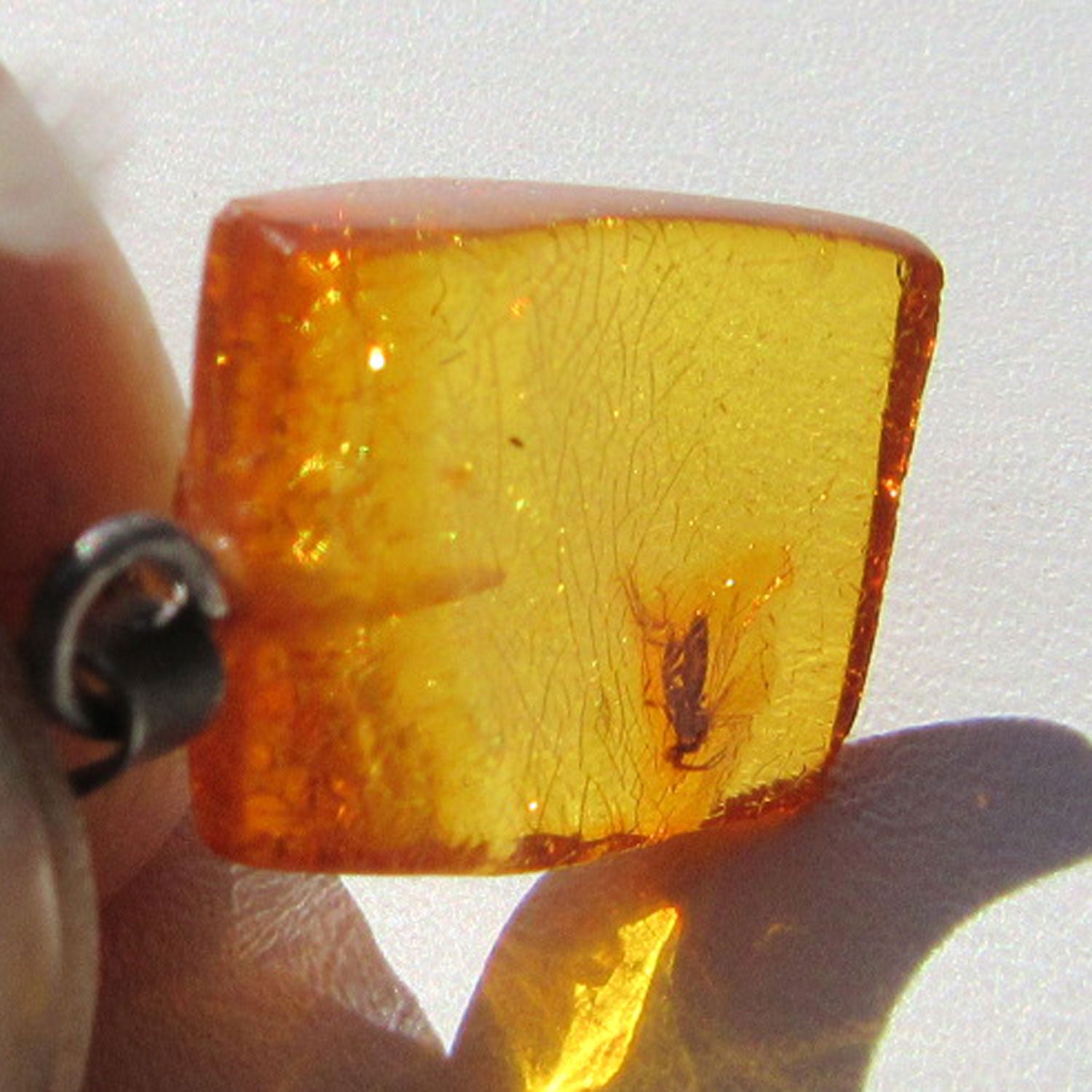 Kleiner Bernsteinanhänger mit Fliegen-Inkluse