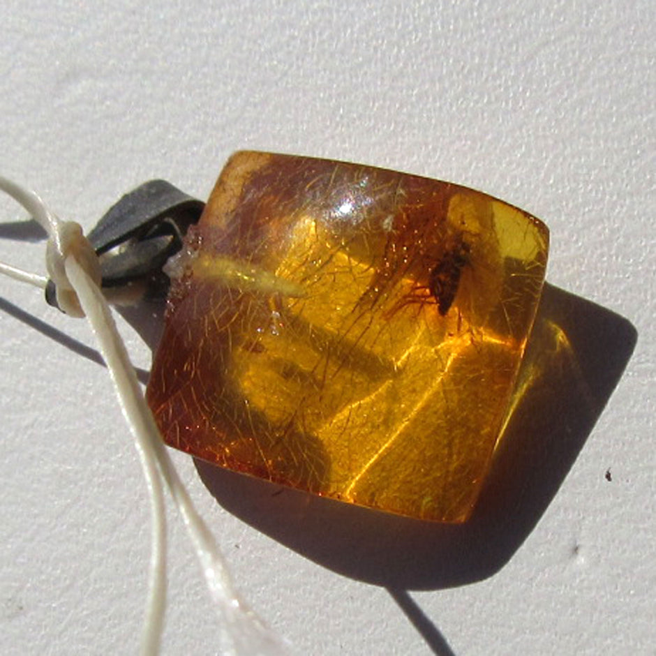 Kleiner Bernsteinanhänger mit Fliegen-Inkluse