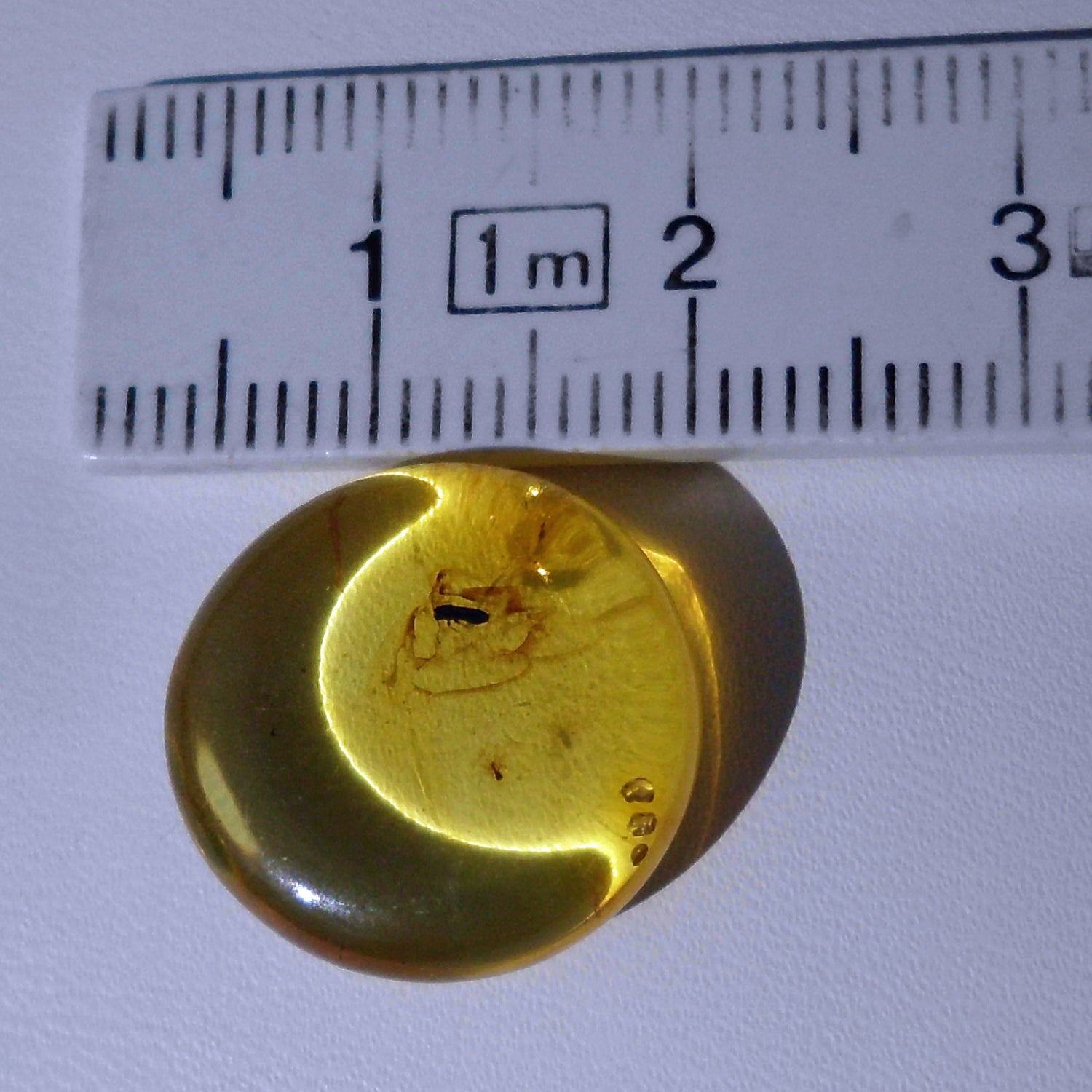 Bernstein mit Inkluse – Käfer und Fliege, Einzelstück