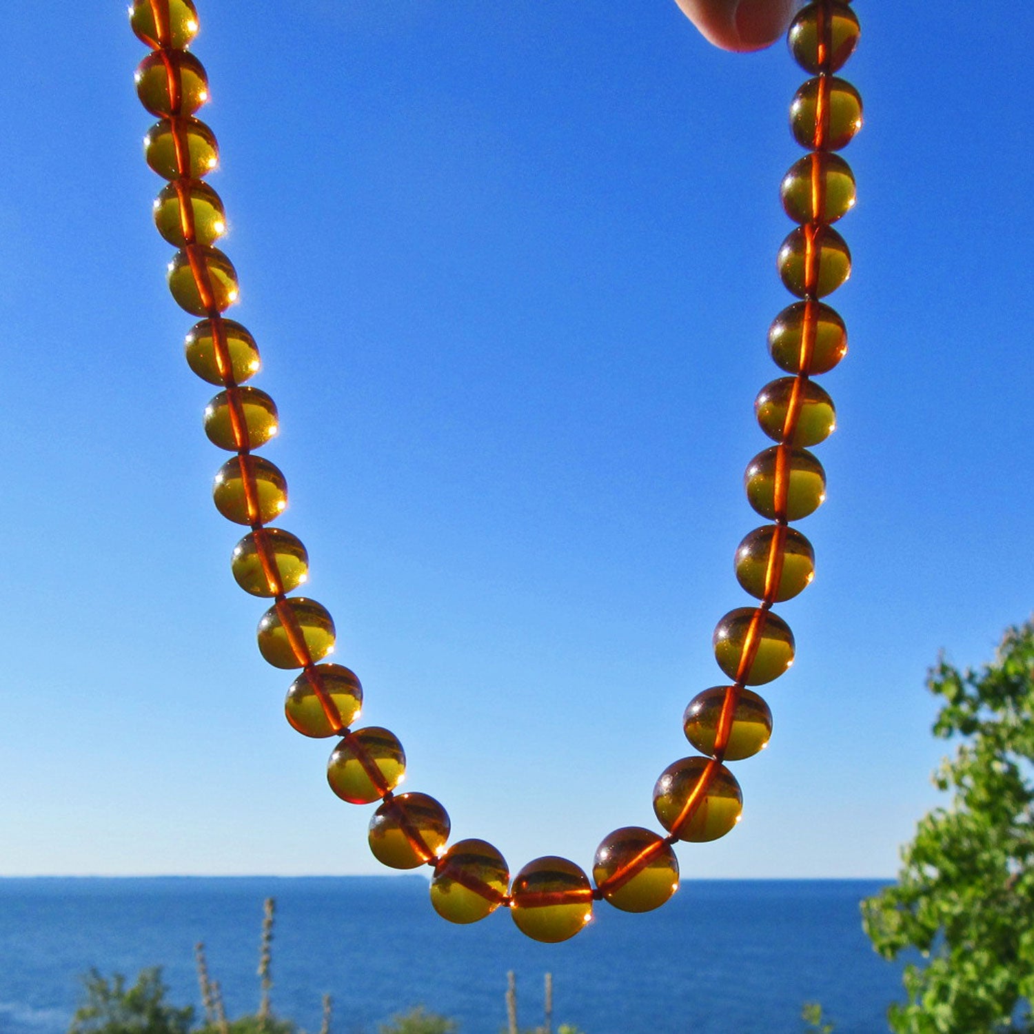 Edle Kette aus polierten Bernsteinperlen in Kognac