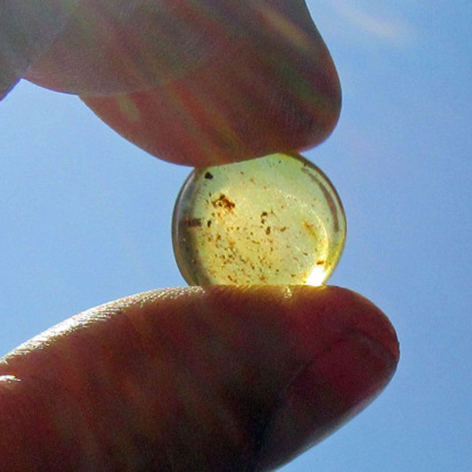 Sonnenklarer Bernsteinplug für das Ohr, geschliffen, Unikat