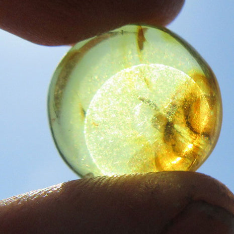 Einzigartiger Bernsteinplug für das Ohr, goldgelb und geschliffen