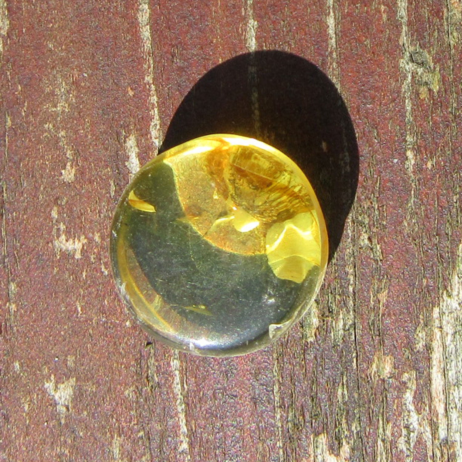 Einzigartiger Bernsteinplug für das Ohr, goldgelb und geschliffen