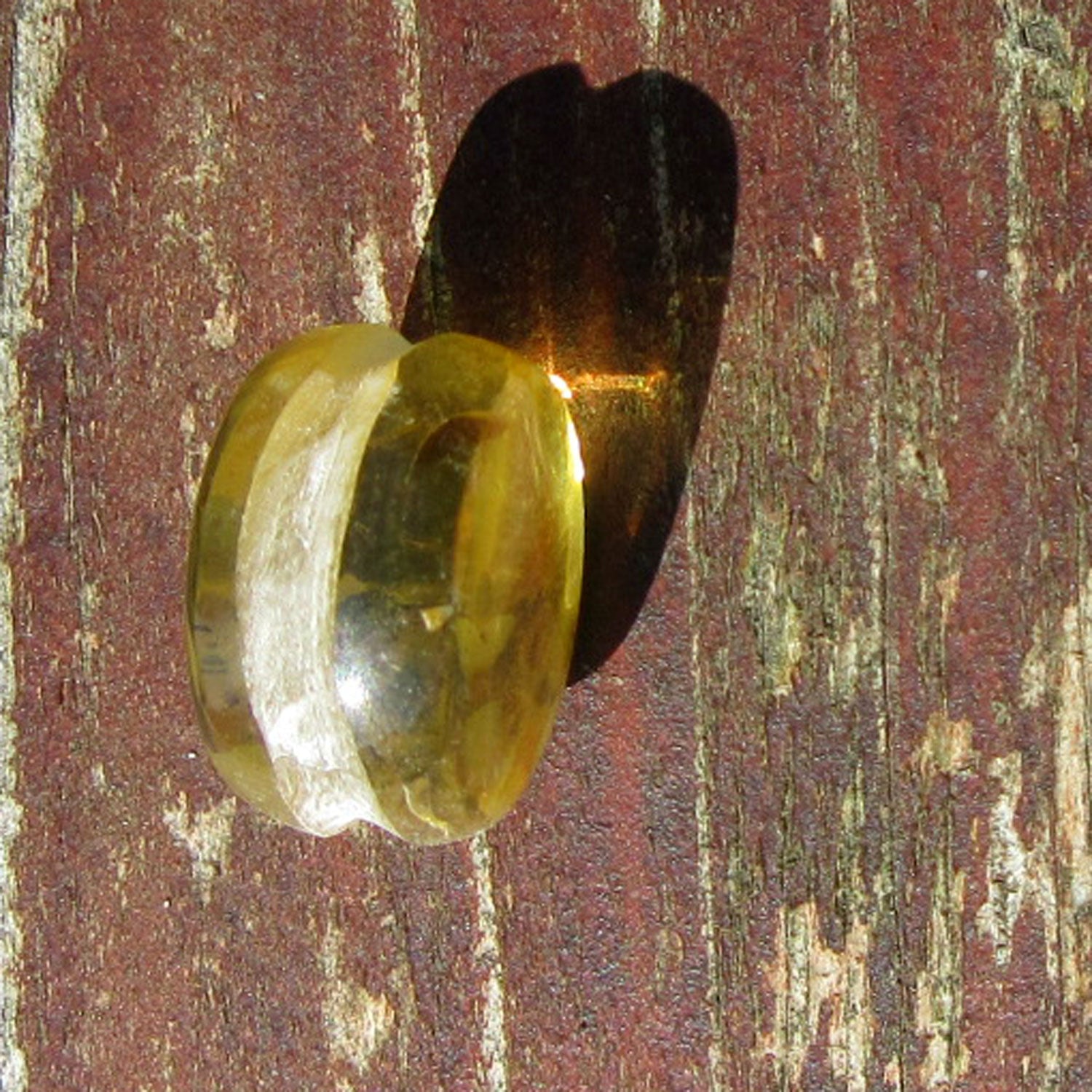 Einzigartiger Bernsteinplug für das Ohr, goldgelb und geschliffen