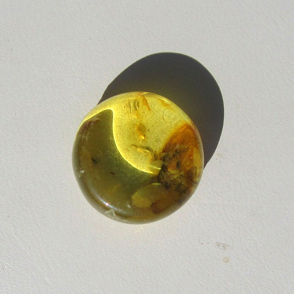 Einzigartiger Bernsteinplug für das Ohr, goldgelb und geschliffen