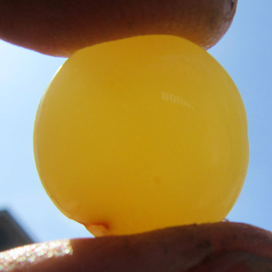 Einzigartiger Bernsteinplug aus Rügen, geschliffen, Unikat