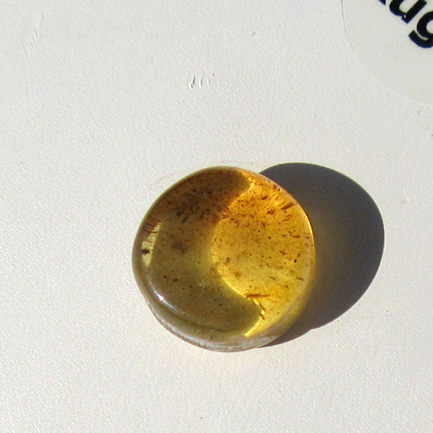 Sonnenklarer Bernsteinplug für das Ohr, geschliffen, Unikat