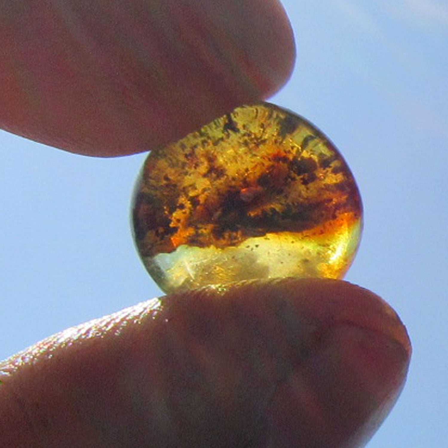 Einzigartiger Bernsteinplug fürs Ohr, handgeschliffen